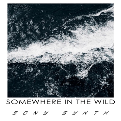 Somewhere in the Wild - Single
