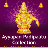 Pallikattu Sabarimalaikku