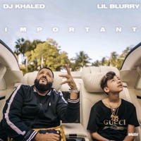 Album cover for Important - Single by DJ Khaled & Lil Blurry