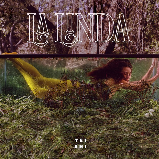 Cover artwork for Matando