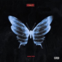 Healer - Single - Dala Biddle