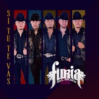 La Furia del Bravo - Ladrón de Amor