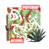 Bitch3 - Single - Notorjus