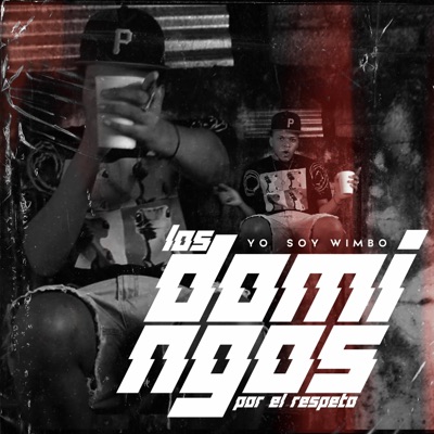 Los Domingos (Por El Respeto) - Single