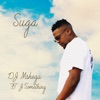 Suga (Edit) [feat. J'Something] - Single