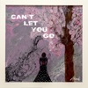 Can't Let You Go - Single