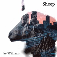 Sheep - Single - Jae Williams