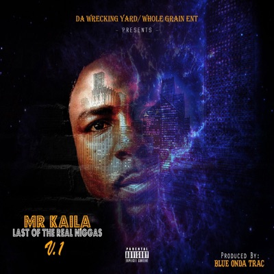 Last of the Real Niggas V.1