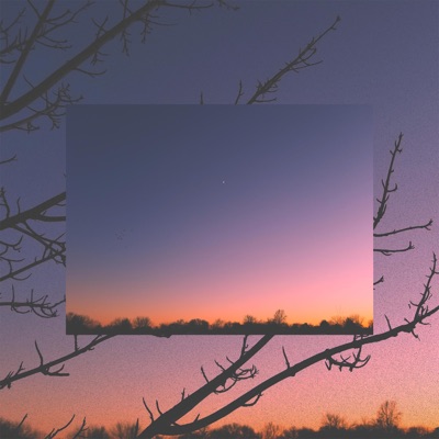 Goodbye (feat. Resting Tofu) - Single