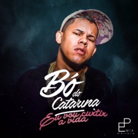 Eu Vou Curtir a Vida - Single - Mc Bó do Catarina