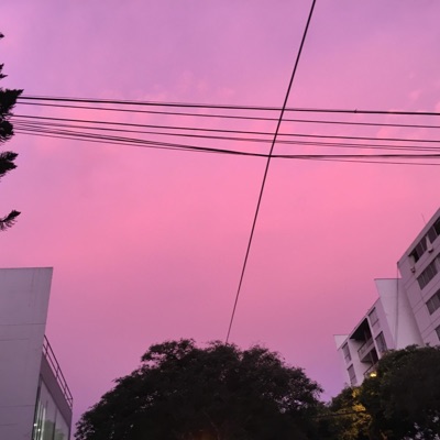 A place to call home (feat. NVR/MND) - Single