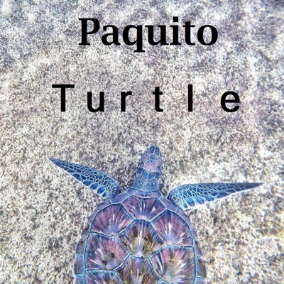 Turtle - Single