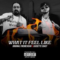 What it feel like (feat. Cassette Coast) - Single - Original Firemexican
