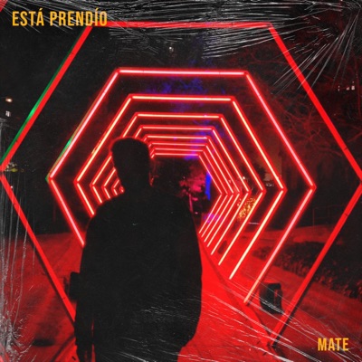 Está Prendío - Single
