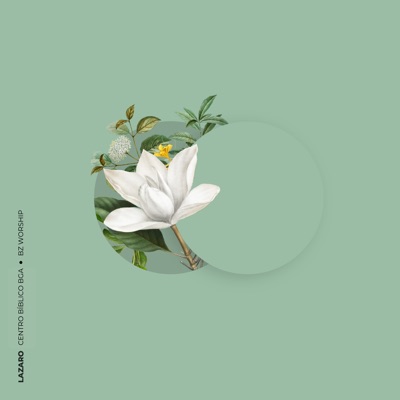 Lázaro (feat. Centro Bíblico BGA) - Single
