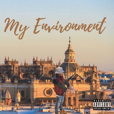 My Environment - Single