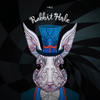 Rabbit Hole - Single - KHAG3