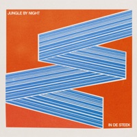 In De Steek - Single - Jungle by Night