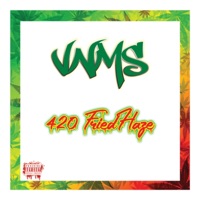 420 FriedHaze - EP - Macfly