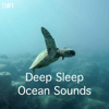 Peaceful Sea - Ocean Sounds, BodyHI & Ocean Waves For Sleep