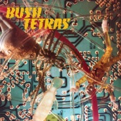 Bush Tetras/Bush Tetras - There Is A Hum