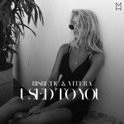 Used to You - Single