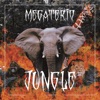 Jungle - Single