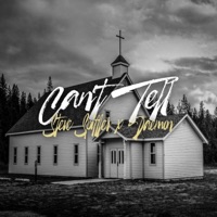 Can't Tell - Single - Steve Spiffler & Daemon