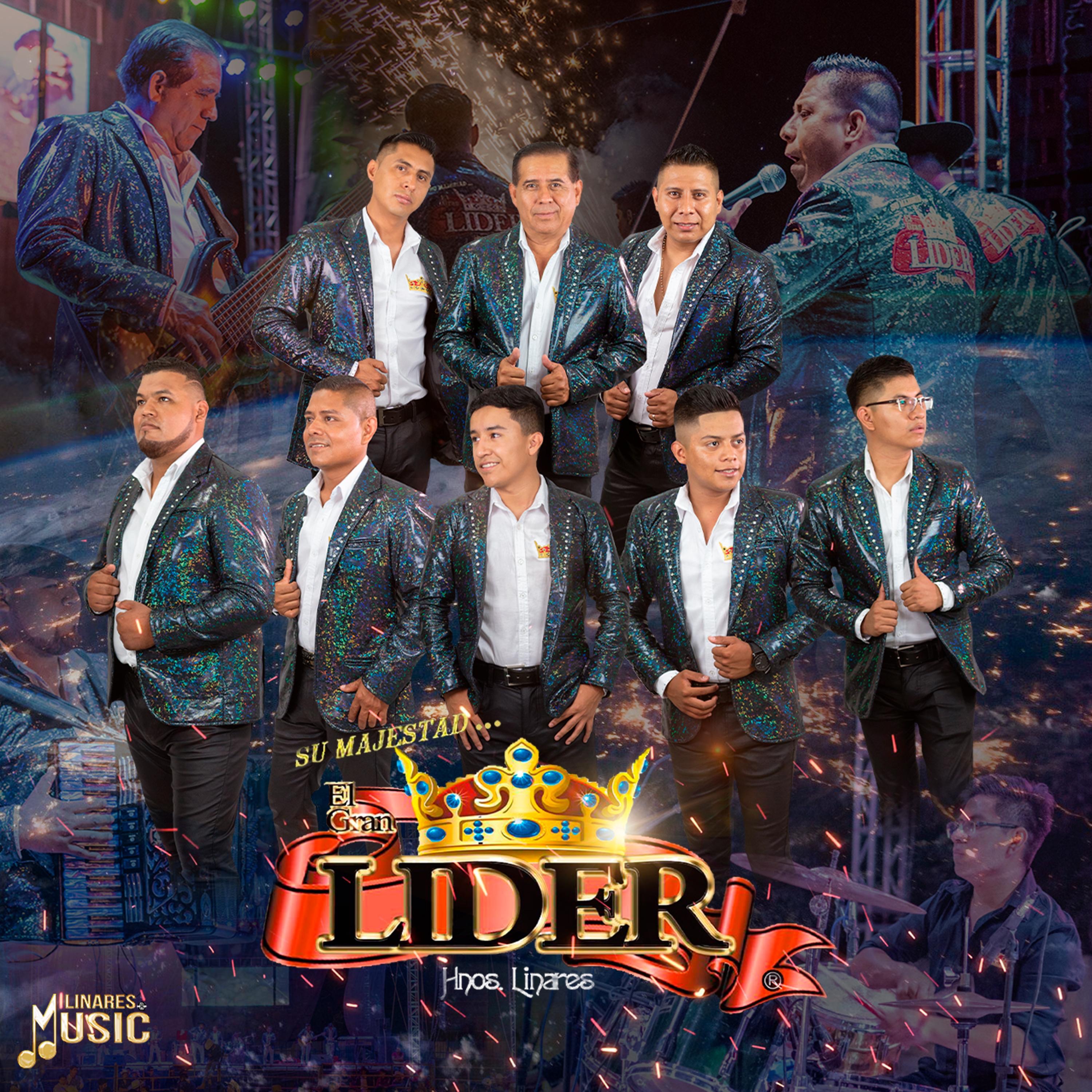 Virus Huapanguero - Single