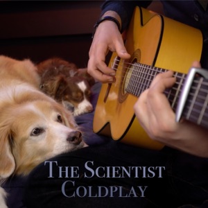 The Scientist - Single