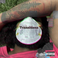 Transitions - Young Lit Hippy