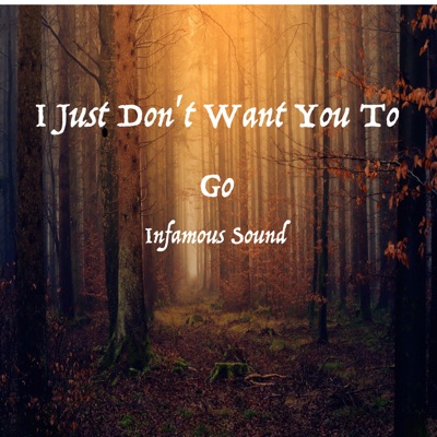 I Just Don't Want You to Go (feat. Marco) - Single