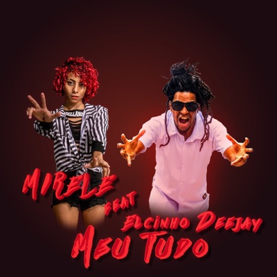 Meu Tudo (Remix) [feat. ELCINHO DEEJAY] - Single