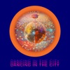 Dancing in the City - Radio Edit by Siamese Elephants iTunes Track 1