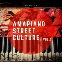 Amapiano Street Culture, Vol. 1 - LilMo & Entity MusiQ