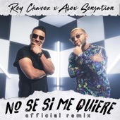 No Se Si Me Quiere (Remix) artwork