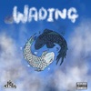 Wading (feat. Koonce, MRNOBLS, John Miller & Kib) - Single