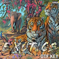 Exotics - Single - OTF Key