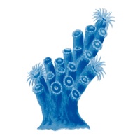 Português Suave (feat. Tiago Matias) - Single - Bruno Rosa