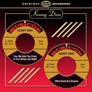Your Ma Said You Cried In Your Sleep Last Night / What Good Are Dreams - Single