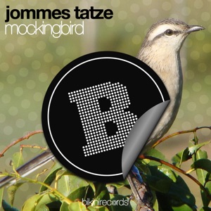 Mockingbird - Single