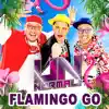 Unnormal - Flamingo Go