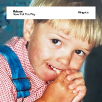 Never Felt This Way - Single - Malexes