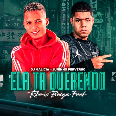 Ela Tá Querendo - Single