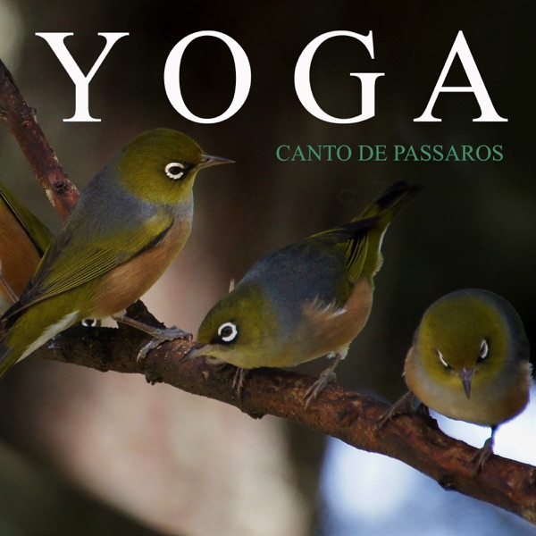 Yoga: Canto de Pássaros