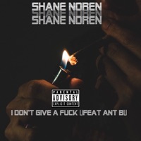 I Don't Give a F**k (feat. Ant B) - Single - Shane Noren