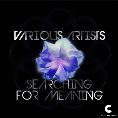 Searching for Meaning - EP