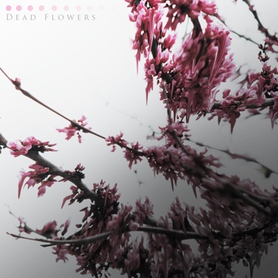 Dead Flowers