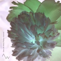 One Life, Many Faces / Genesis EP - Single - Aeon Waves