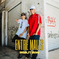 Entre Males (feat. Spider DS) - Single - Edivan
